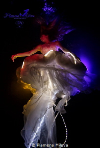 Shining jellyfish by Plamena Mileva 